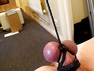 COCK BALLS  BOUND  NUTS FUCK CBT